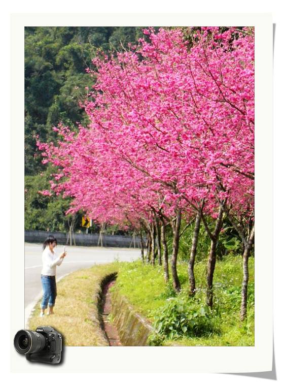 新年快樂!! 新年快樂!!