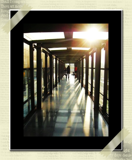 鶯歌陶瓷博物館.隨手拍系列 鶯歌陶瓷博物館.隨手拍系列