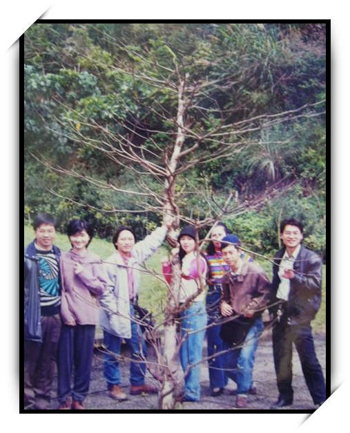 老照片系列~~同業篇 老照片系列~~同業篇