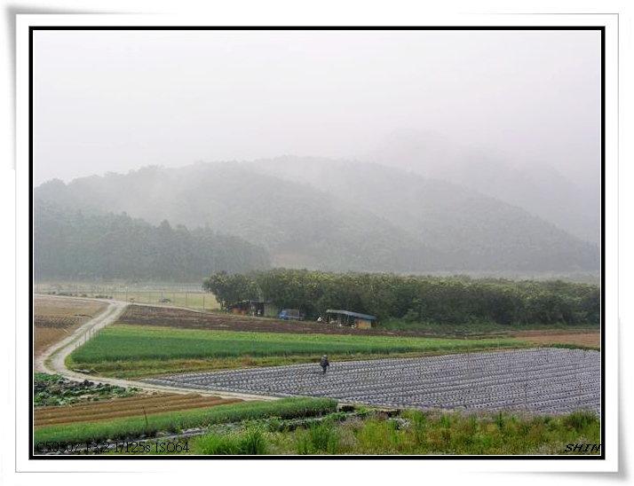 雨中的雙連埤,施工中的野夫炊煙,快樂的母親節 雨中的雙連埤,施工中的野夫炊煙,快樂的母親節