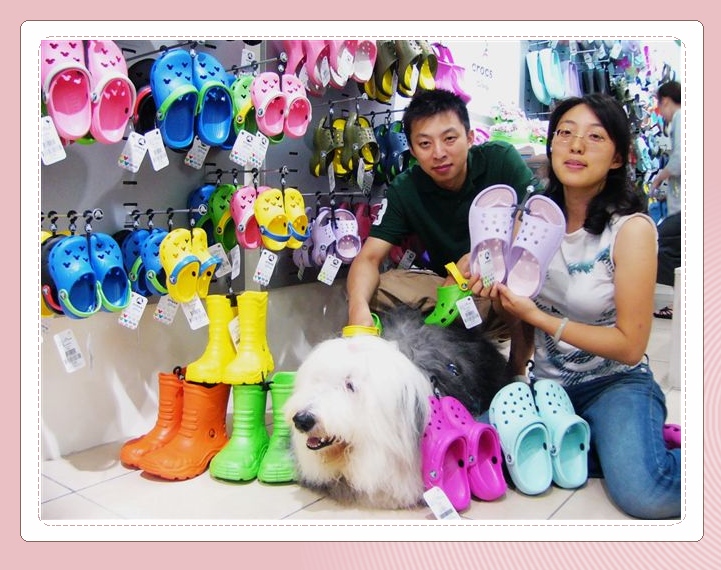 龍頭的愛心─發現輕便鞋 龍頭的愛心─發現輕便鞋