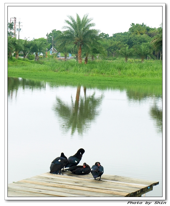 【心情的】真是一整個衰 【心情的】真是一整個衰