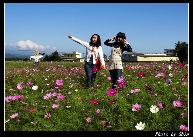 【好玩的】三星景觀花田 【好玩的】三星景觀花田