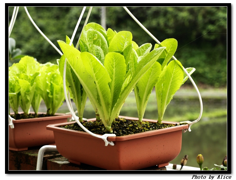 【自己的】隨手拍 【自己的】隨手拍