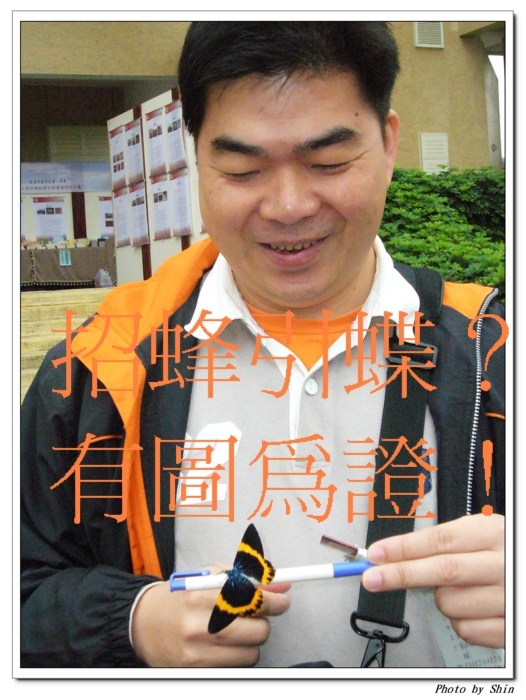 【有趣的】招蜂引蝶? 有圖為證 【有趣的】招蜂引蝶? 有圖為證