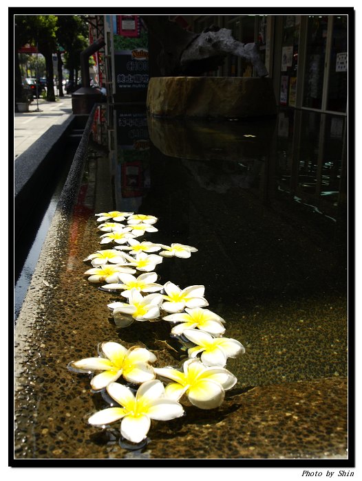 【家人的】台中客家本色~祝游大媽媽生日快樂 【家人的】台中客家本色~祝游大媽媽生日快樂