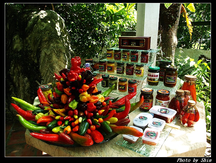 【好玩的】CHILI PARK奇麗市─世界辣椒博物館 【好玩的】CHILI PARK奇麗市─世界辣椒博物館