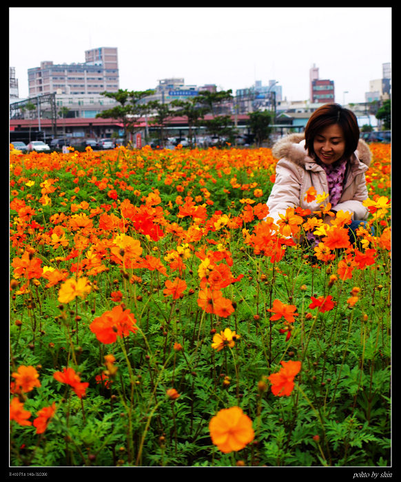 【好玩的】羅東也有花海 【好玩的】羅東也有花海