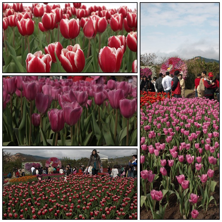 【好玩的】春遊后里(一) 【好玩的】春遊后里(一)