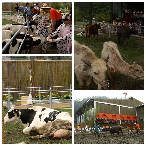 【好玩的】2009宜蘭綠色博覽會開幕前搶先看 【好玩的】2009宜蘭綠色博覽會開幕前搶先看