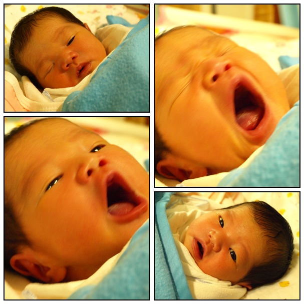 【孩子的】小寶貝季芸出生! 【孩子的】小寶貝季芸出生!