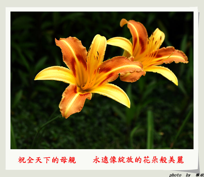 【大家的】母親節快樂! 【大家的】母親節快樂!