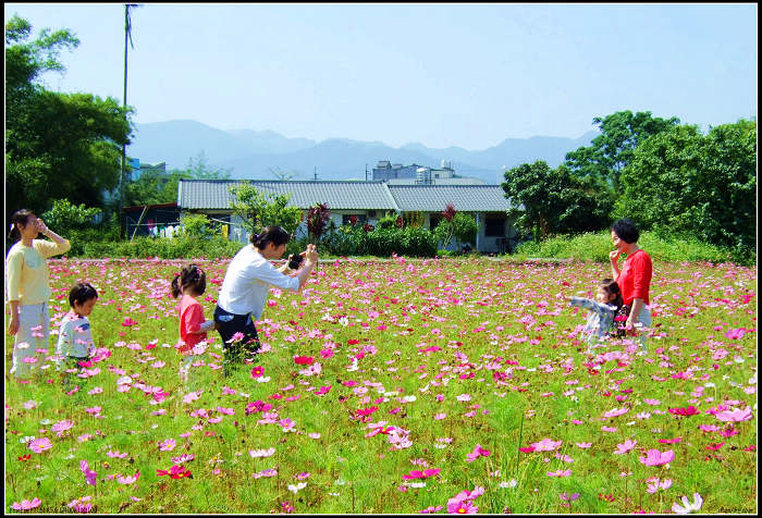 【好玩的】天氣好,來三星賞花吧! 【好玩的】天氣好,來三星賞花吧!