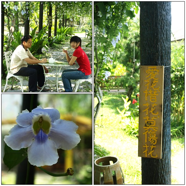 【好看的】鄧伯花廊喝咖啡 【好看的】鄧伯花廊喝咖啡