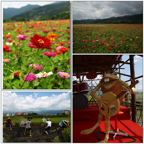 【好玩的】來看三星景觀花田、稻草人裝置藝術 【好玩的】來看三星景觀花田、稻草人裝置藝術