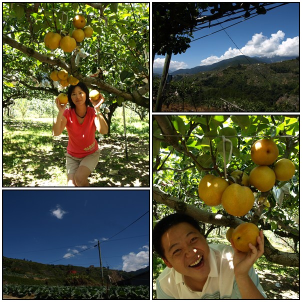 【好玩的】梨山驚魂記 【好玩的】梨山驚魂記