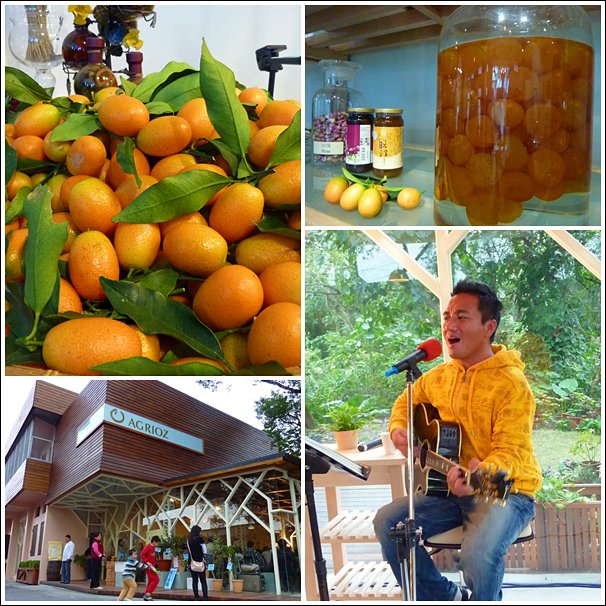 【宜蘭的】橘之鄉~金橘文化聚 【宜蘭的】橘之鄉~金橘文化聚