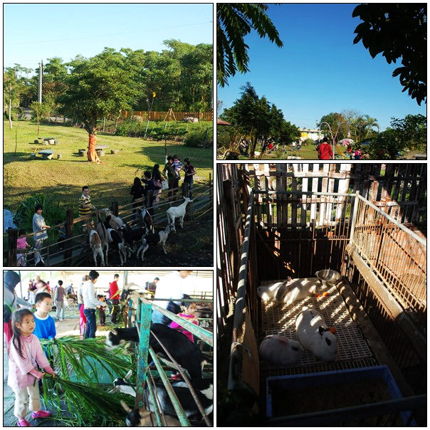 【好玩的】浪漫蘭溪右岸之旅~宜農養羊場 【好玩的】浪漫蘭溪右岸之旅~宜農養羊場