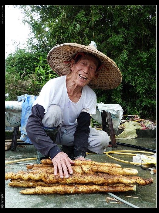【好吃的】有人蔘味的野生山藥 【好吃的】有人蔘味的野生山藥