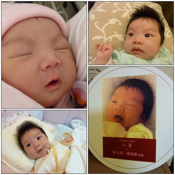 【孩子的】我家新成員─廖小美報到 【孩子的】我家新成員─廖小美報到