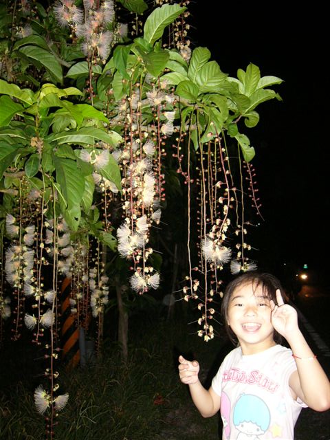 夜探枕頭山 夜探枕頭山