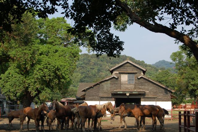 一個記憶很深,卻從未去過的地方 一個記憶很深,卻從未去過的地方