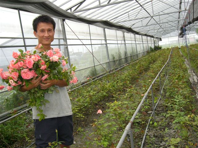 繽紛有機農場 繽紛有機農場