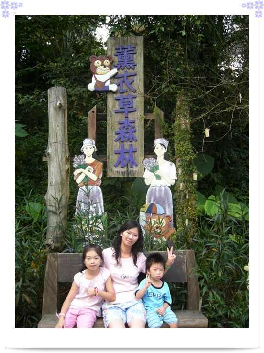 我在新社薰衣草森林 我在新社薰衣草森林