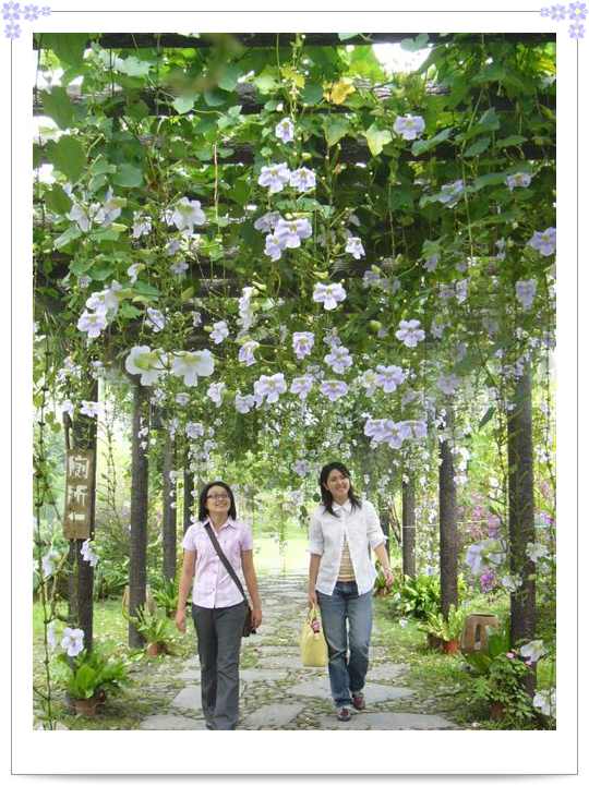 我是鄧麗君的大伯啦!! 我是鄧麗君的大伯啦!!