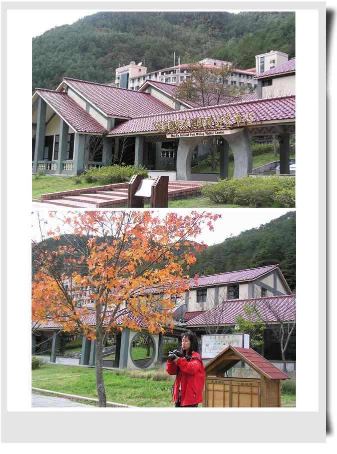 武陵農場風景如畫 武陵農場風景如畫