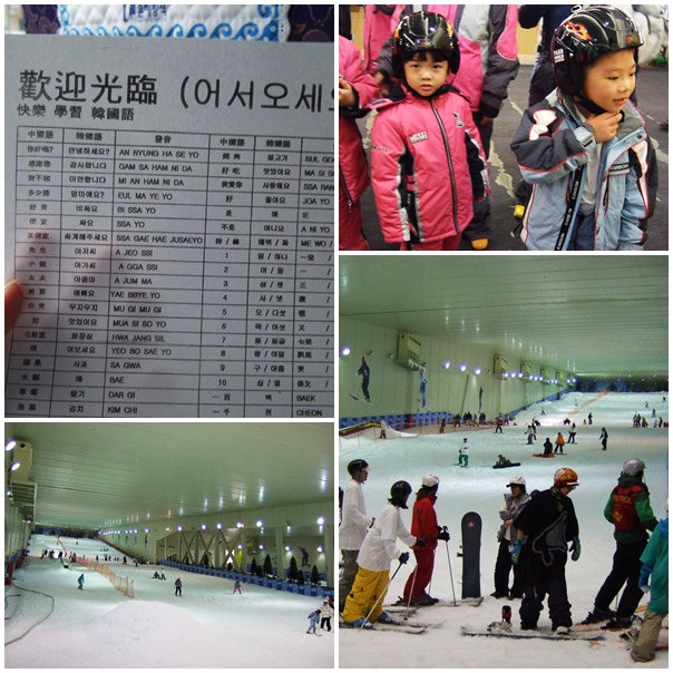 【好玩的】2009韓國親子遊DAY2~划雪盆、水世界